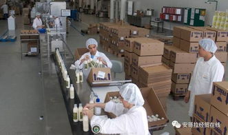 投資1000萬美元的化妝品加工廠在安開業，引領本土美妝產業新格局